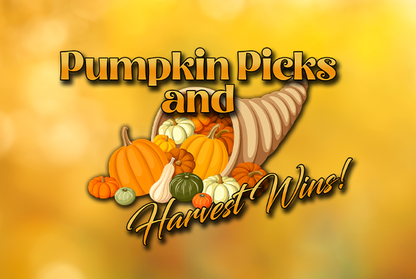 Pumpkin Picks and Harvest Wins BRIGHT